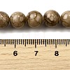 Natural Striped Stone Beads Strands G-D315-A01-03-8mm-5