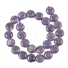 Natural Lepidolite/Purple Mica Stone Beads Strands G-L648-B09-15mm-4