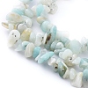 Natural Gemstone Bead Strand X-F031-2