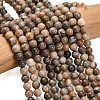 Natural Fossil Coral Beads Strands G-C288-A01-4mm-1