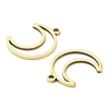 Ion Plating(IP) 316L Surgical Stainless Steel Pendants STAS-Q247-04G-2