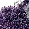 TOHO Round Seed Beads SEED-TR08-0928-1