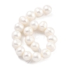 Natural Cultured Freshwater Pearl Beads Strands PEAR-C003-14E-3