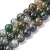 Natural Moss Agate Beads Strands G-F453-8mm-4