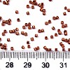11/0 Grade A Glass Seed Beads X-SEED-S030-1210-4