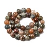 Natural Flower Agate Bead Strands G-B044-A01-03-A-2