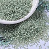 MIYUKI Round Rocailles Beads SEED-X0054-RR2354-4