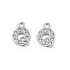 304 Stainless Steel Charms STAS-N095-137Q-1