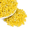 FGB Imitation Jade Colours Glass Seed Beads SEED-Q040-07A-C03-1