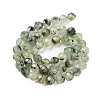 Natural Prehnite Beads Strands G-C150-B02-01-4