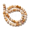 Natural Crazy Agate Beads Strands G-H298-A12-03-3
