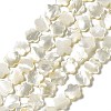 Natural White Shell Beads Strands SHEL-F003-07-1