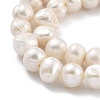 Natural Cultured Freshwater Pearl Beads Strands PEAR-C003-15B-4
