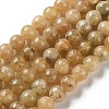 Natural Yellow Garnet Beads Strands G-Z129-C01-8mm-01-2