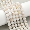 Natural White Moonstone Beads Strands G-F674-08-8mm-01-10