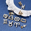 Fashewelry Alloy Charms FIND-FW0001-02-13
