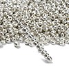 6/0 Glass Seed Beads X-E0690044-4