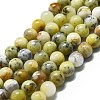 Natural Opal Beads Strands G-I356-A03-02-2