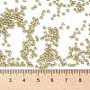 TOHO Round Seed Beads SEED-XTR11-0375-4