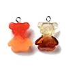 Transparent & Opaque Resin Pendants RESI-G043-C03-3