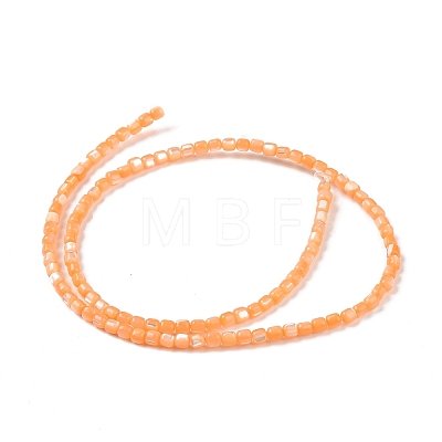 Natural Trochus Shell Beads Strands SSHEL-H070-02D-1