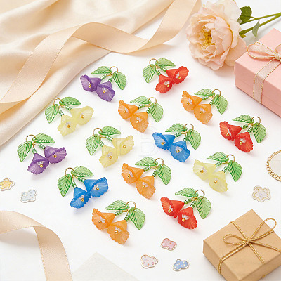 50Pcs 5 Colors Transparent Acrylic Pendants PALLOY-SZ00070-1