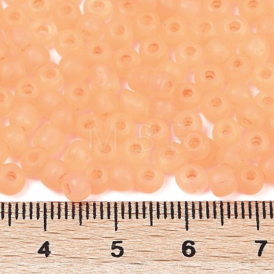 6/0 Luminous Glass Seed Beads X1-SEED-NH0001-01D-1