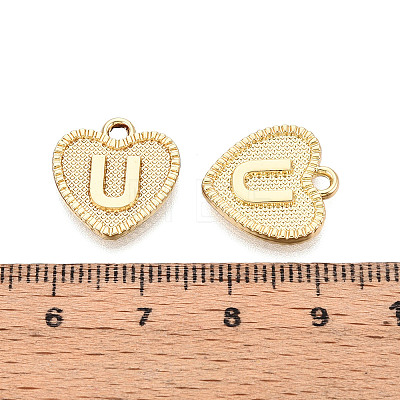 Alloy Pendants PALLOY-N157-001U-NR-1