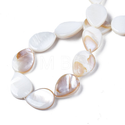 Natural Freshwater Shell Beads Strands SHEL-S278-068-1