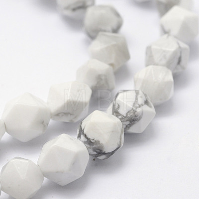 Natural Howlite Beads Strands G-F523-28-6mm-1