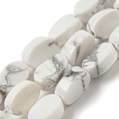 Natural Howlite Beads Strands G-M420-H14-03-1