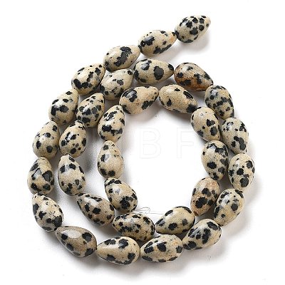 Natural Dalmatian Jasper Beads Strands G-B106-A29-02-1
