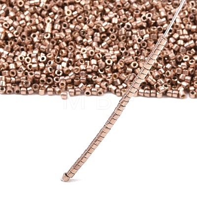 MIYUKI Delica Beads SEED-MY11-DB2504-1