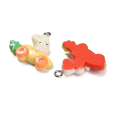Opaque Resin Pendants RESI-B047-05-1