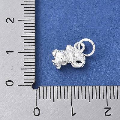 925 Sterling Silver 3D Chinese Zodiac Charms STER-P066-01S-04-1