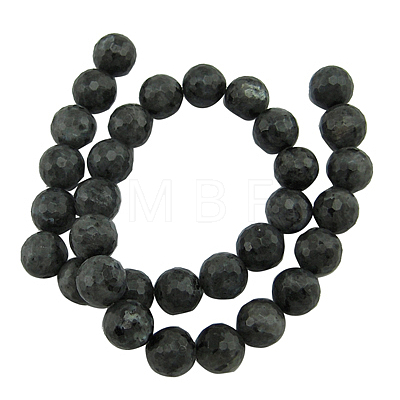 Natural Larvikite Beads Strands X-G868-102-1