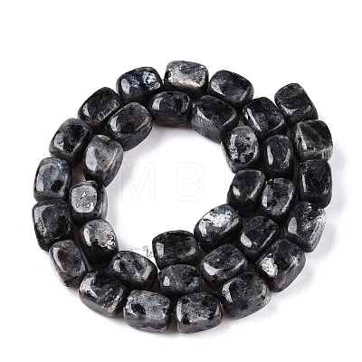 Natural Larvikite Beads Strands G-T138-106-1