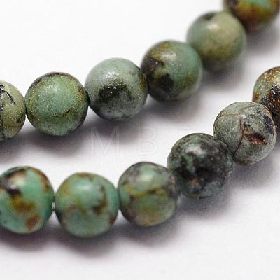 Natural African Turquoise(Jasper) Beads Strands G-N0188-02-3mm-1