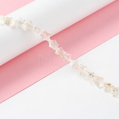 Transparent Glass Beads Strand X1-GLAA-F112-04K-1