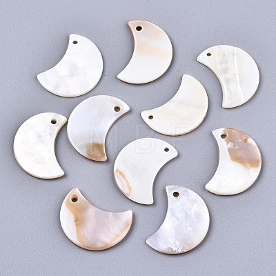 Natural Freshwater Shell Pendants X-SHEL-R113-09-1