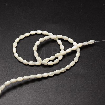 Natural Trochid Shell/Trochus Shell Beads Strands SSHEL-K008-06-1