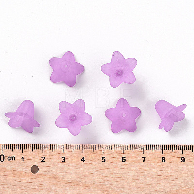 Transparent Acrylic Beads PLF018-04-1