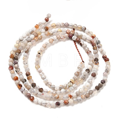 Natural Mexican Agate Beads Strands G-E608-A11-A-1