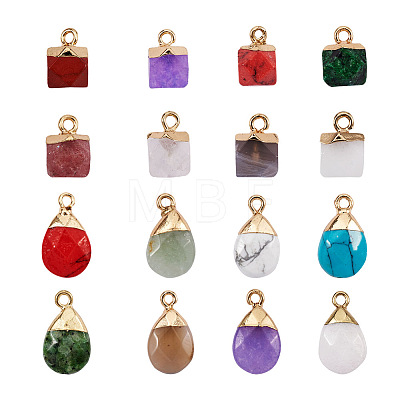 Kissitty 16Pcs 16 Style Natural & Synthetic Gemstone Pendants G-KS0001-06-1