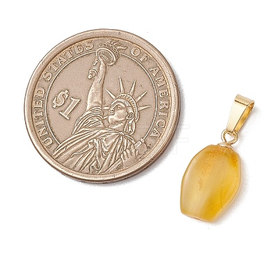 Gradient Color Natural Amber Pendants PALLOY-JF04930-02-1