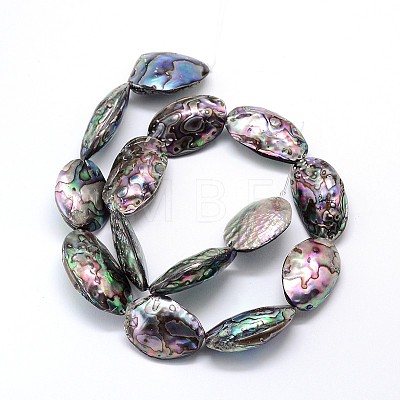 Natural Paua Shell Beads Strands SSHEL-J047-07A-1