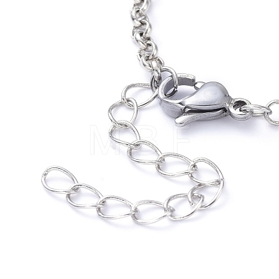 Chain Necklaces X-NJEW-JN02766-1