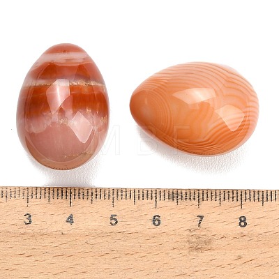 Natural Red Banded Agate(Dyed & Heated) Egg Stone GG-L654-H02-09-1