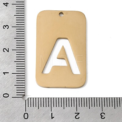 304 Stainless Steel Pendants STAS-D200-01A-G-1