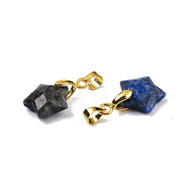 Natural Lapis Lazuli Charms X-G-N326-142-02-1